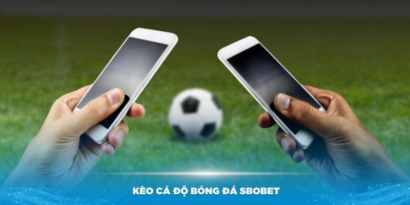 Các kèo cá độ bóng đá Sbobet phổ biến nhất