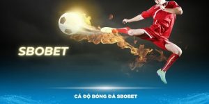 Cá độ bóng đá sbobet